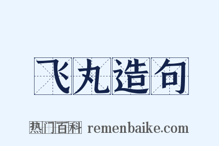 飞丸造句是什么意思的图片